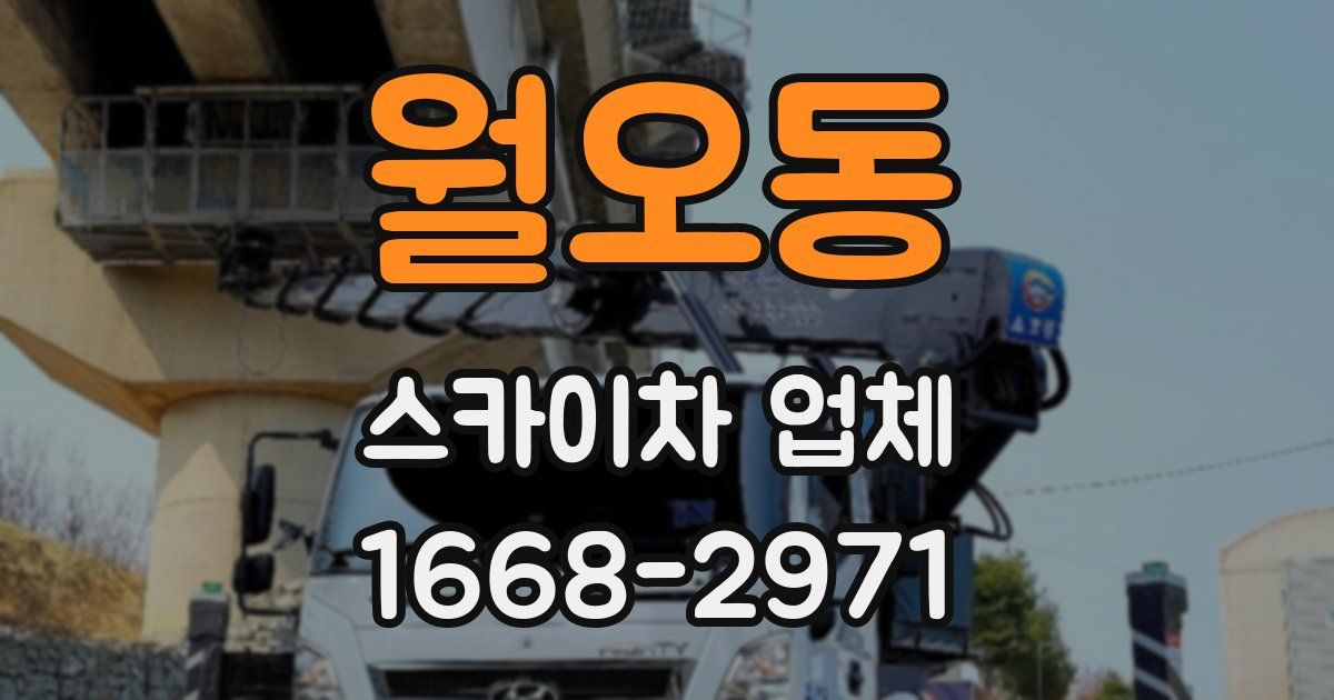 월오동 스카이차 업체