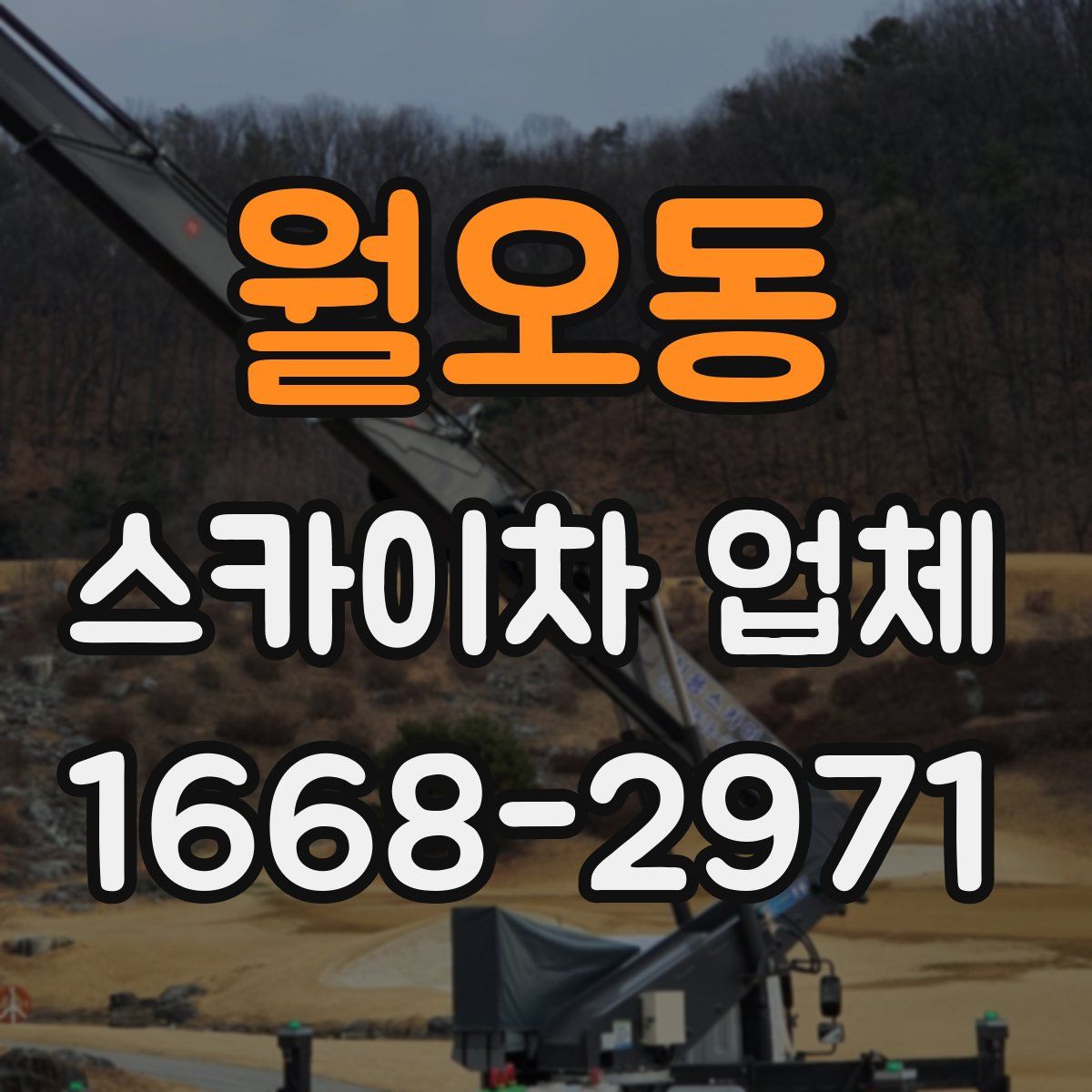 월오동 스카이차 업체