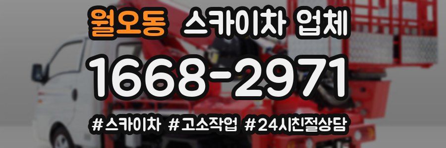 월오동 스카이차 업체