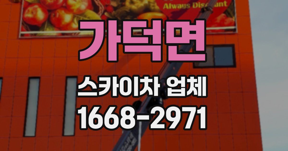 가덕면 스카이차 업체