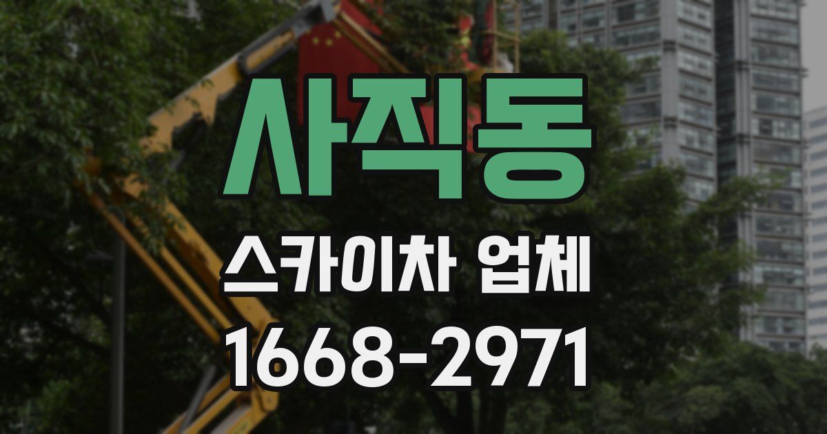 사직동 스카이차 업체