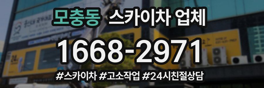 모충동 스카이차 업체