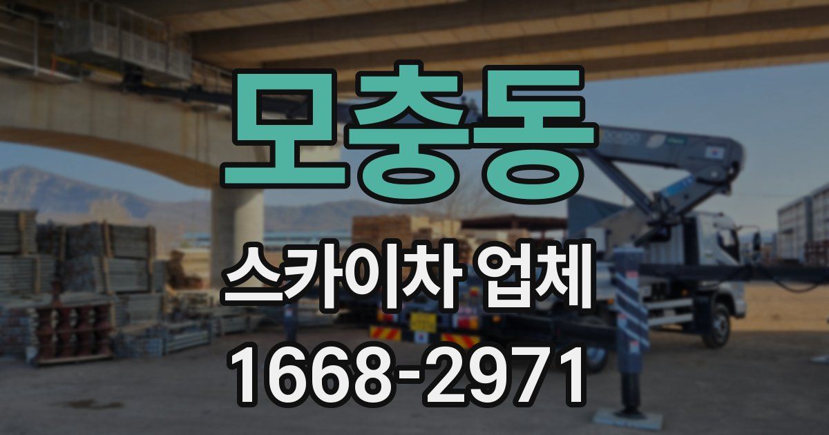 모충동 스카이차 업체