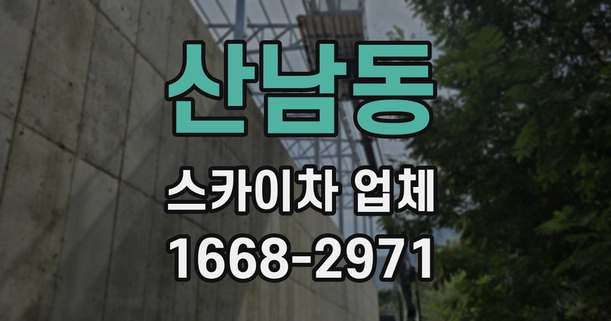산남동 스카이차 업체