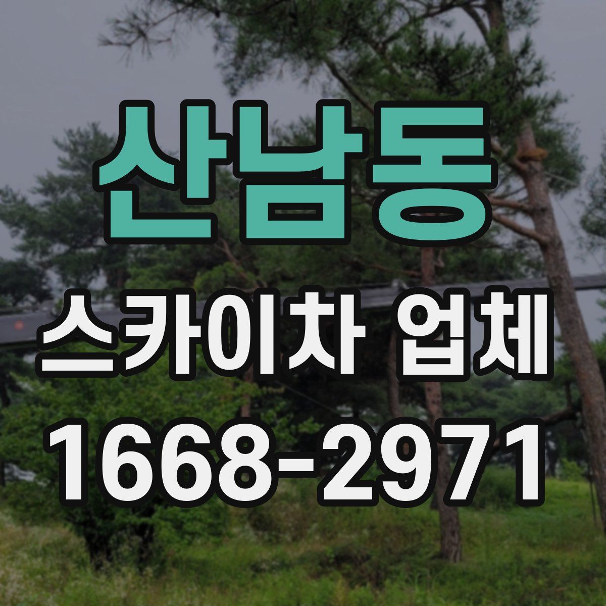 산남동 스카이차 업체