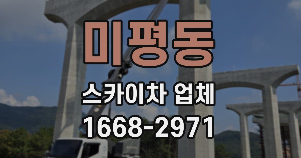 미평동 스카이차 업체