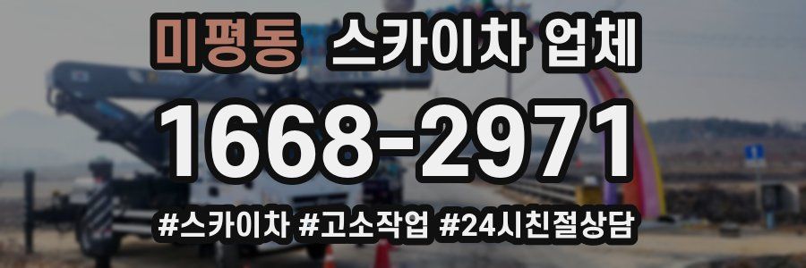 미평동 스카이차 업체