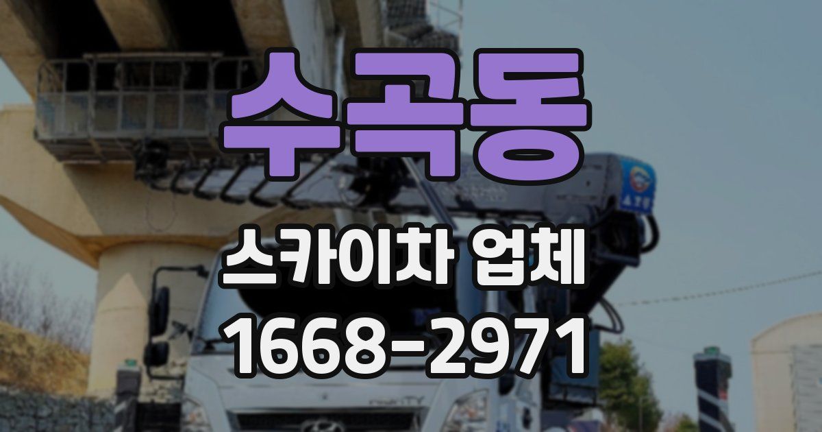 수곡동 스카이차 업체