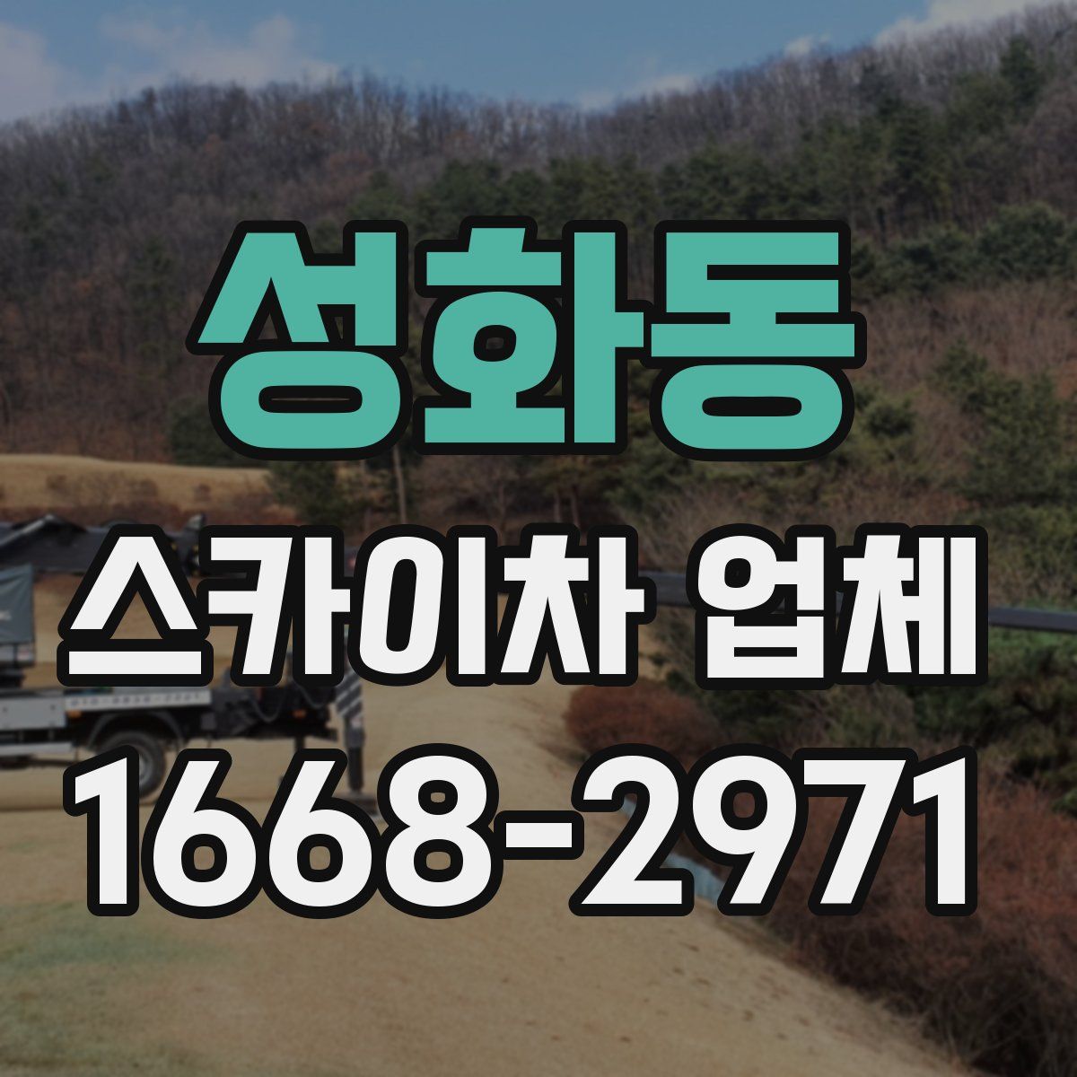 성화동 스카이차 업체