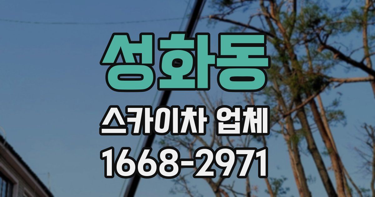 성화동 스카이차 업체