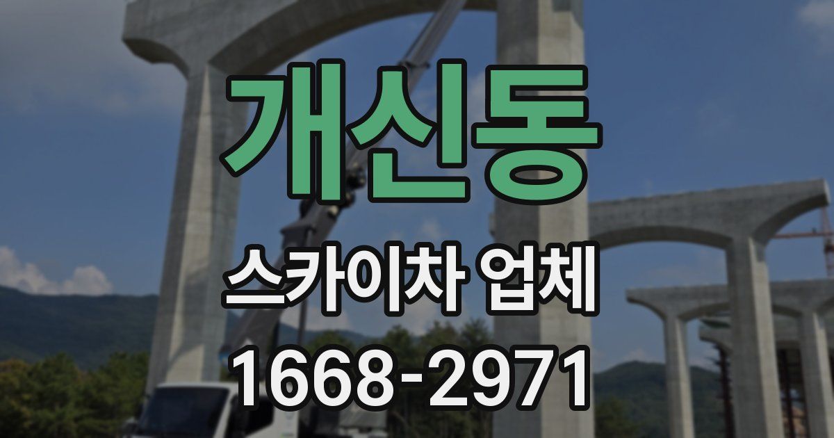 개신동 스카이차 업체
