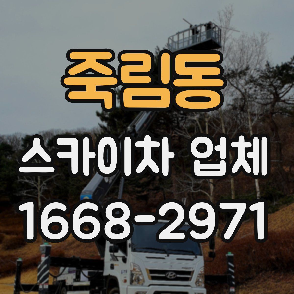 죽림동 스카이차 업체