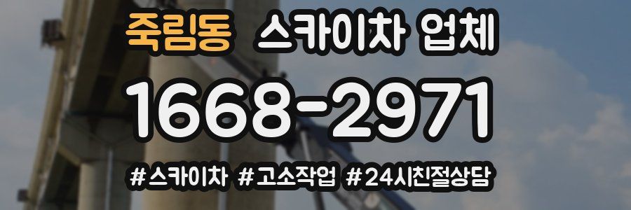 죽림동 스카이차 업체
