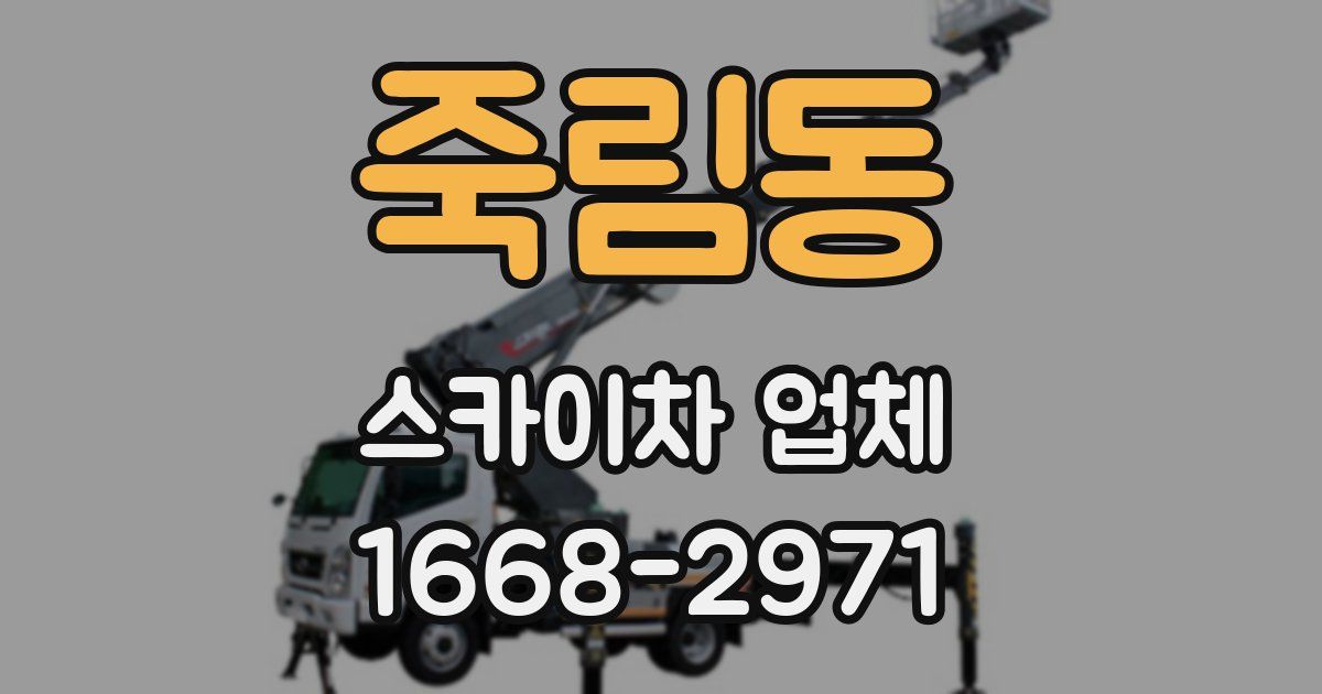 죽림동 스카이차 업체