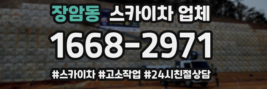 장암동 스카이차 업체