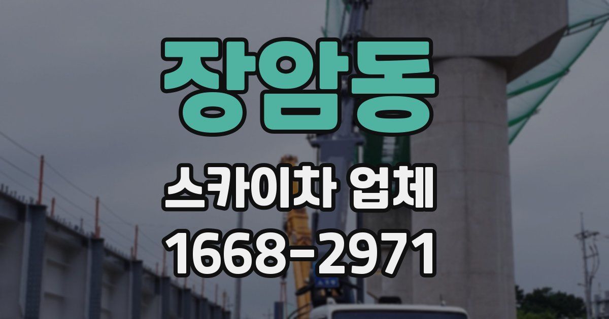 장암동 스카이차 업체