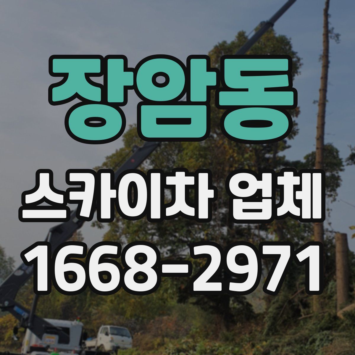 장암동 스카이차 업체