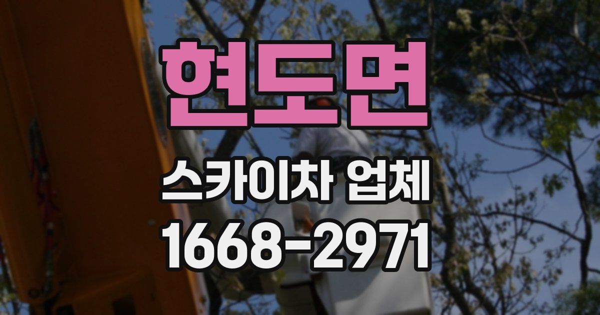 현도면 스카이차 업체