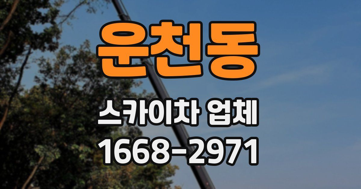 운천동 스카이차 업체