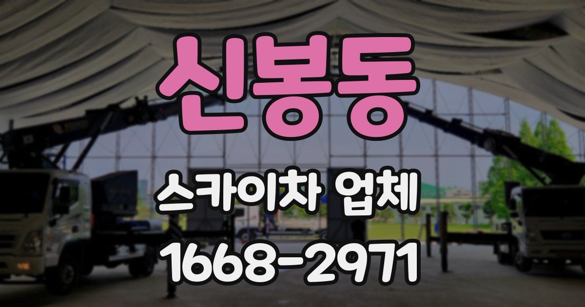 신봉동 스카이차 업체