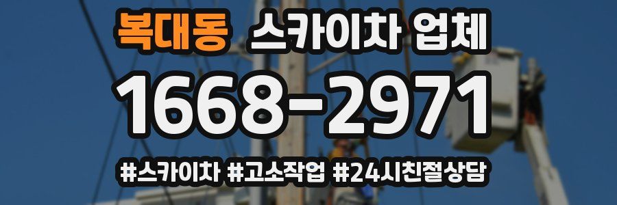복대동 스카이차 업체