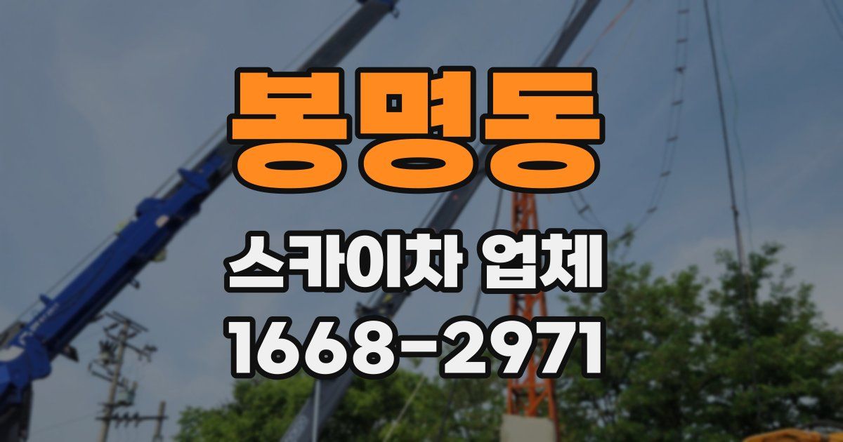 봉명동 스카이차 업체