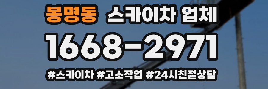 봉명동 스카이차 업체