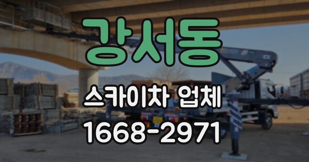 강서동 스카이차 업체