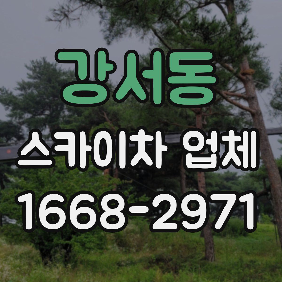 강서동 스카이차 업체