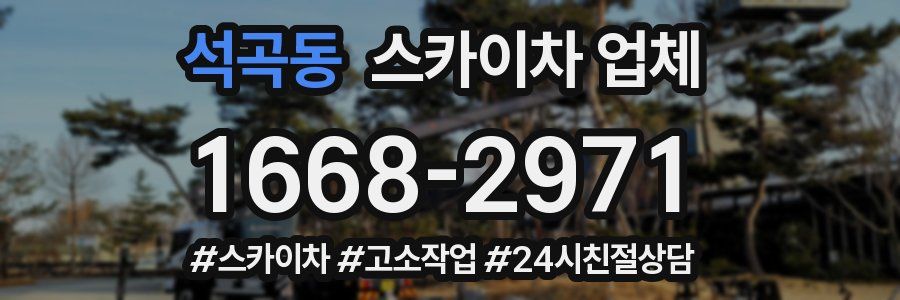 석곡동 스카이차 업체