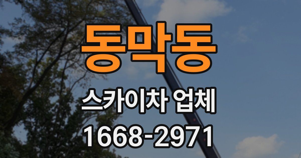 동막동 스카이차 업체