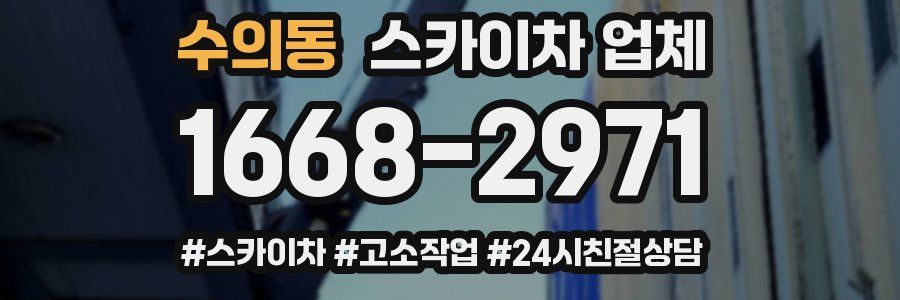 수의동 스카이차 업체