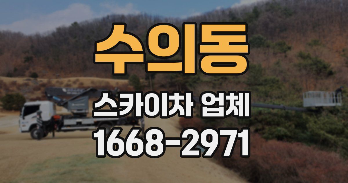 수의동 스카이차 업체