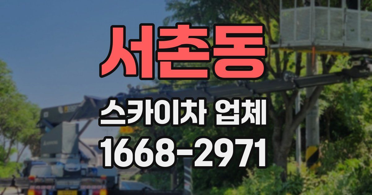 서촌동 스카이차 업체