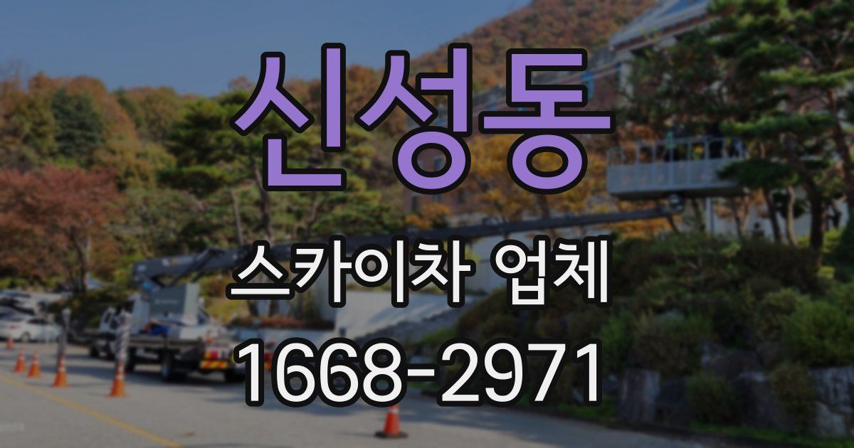 신성동 스카이차 업체