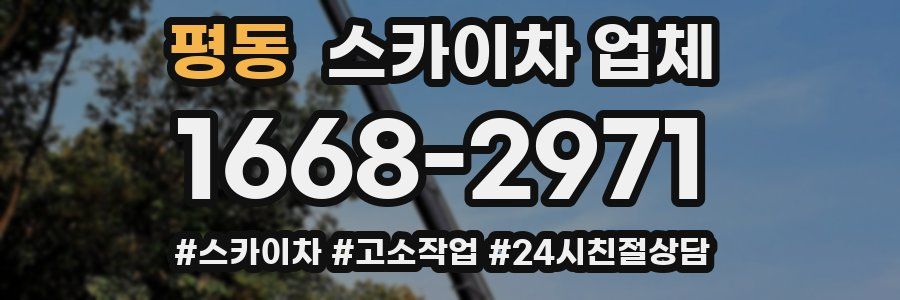 평동 스카이차 업체