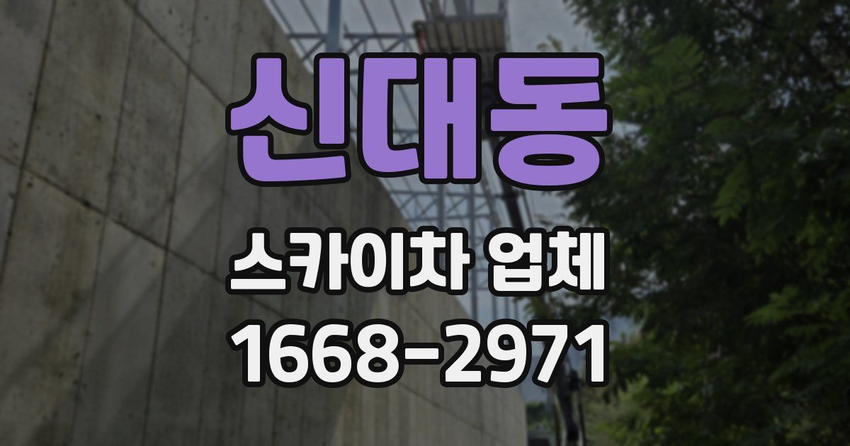 신대동 스카이차 업체