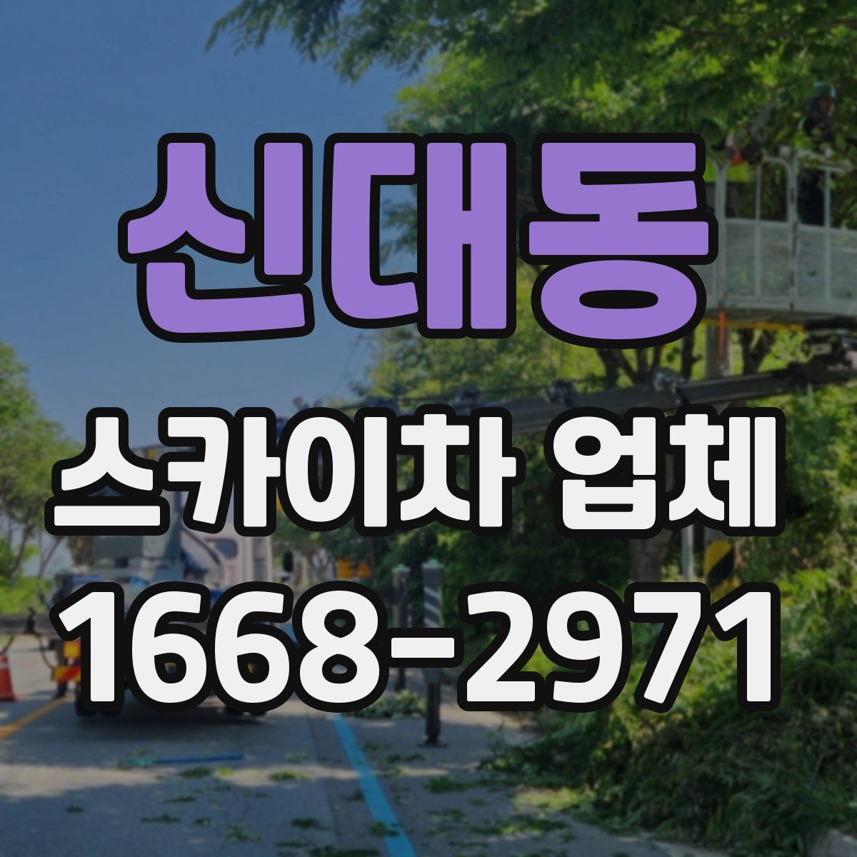 신대동 스카이차 업체
