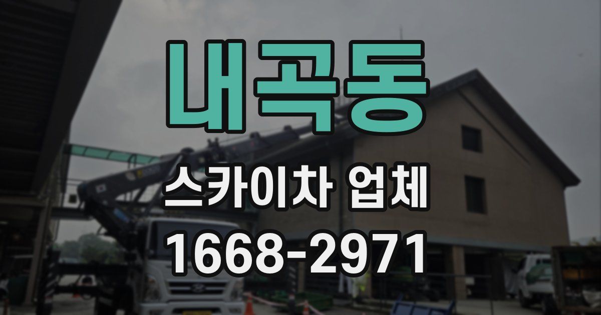 내곡동 스카이차 업체
