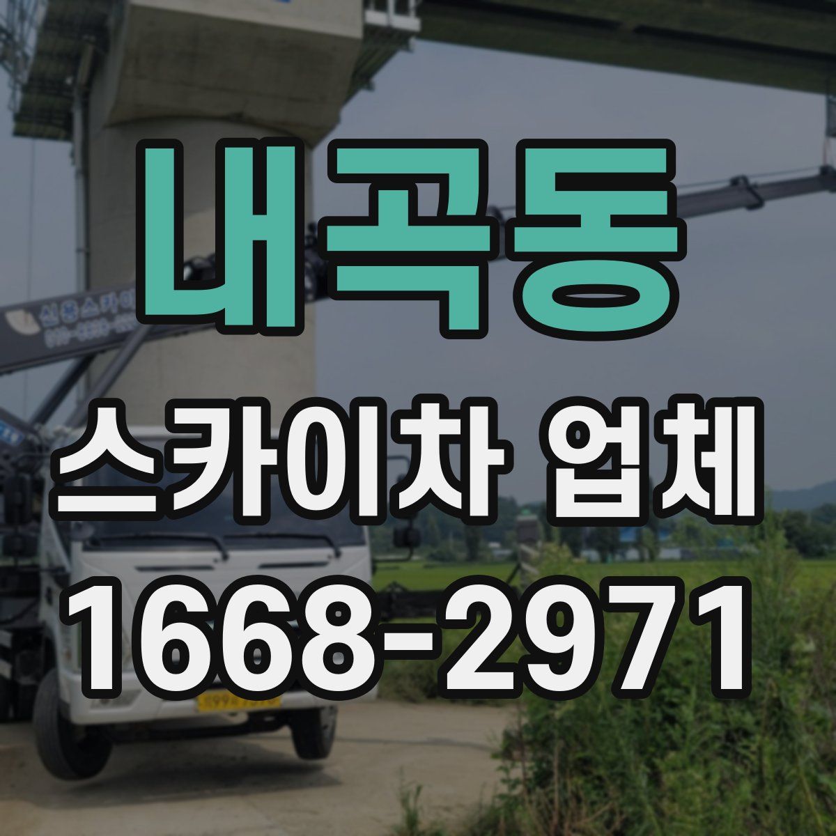 내곡동 스카이차 업체