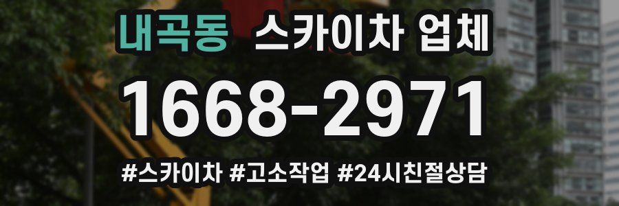 내곡동 스카이차 업체