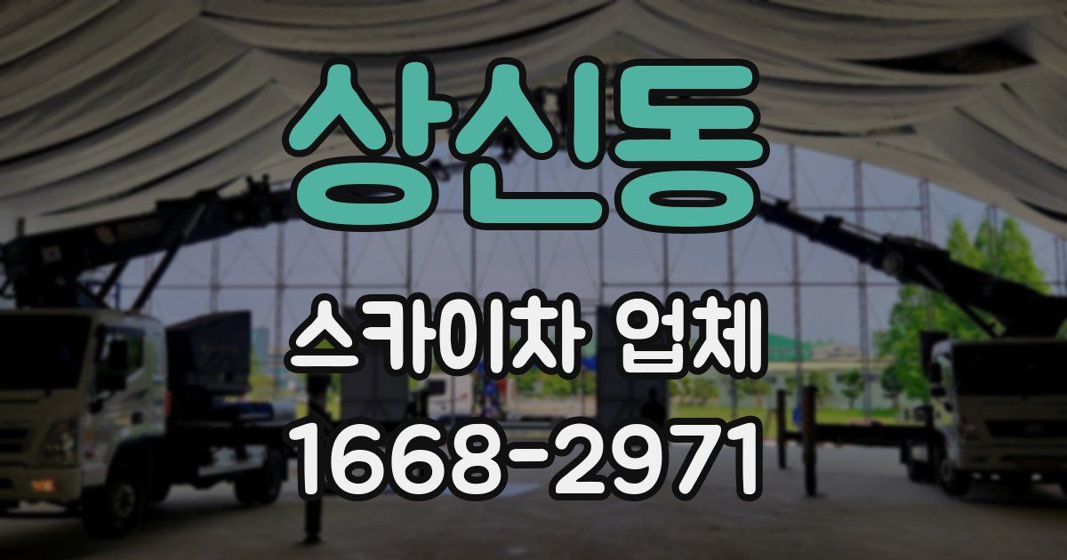 상신동 스카이차 업체