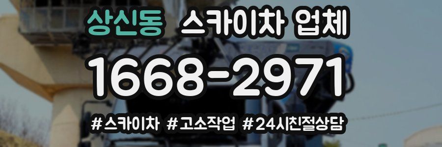 상신동 스카이차 업체