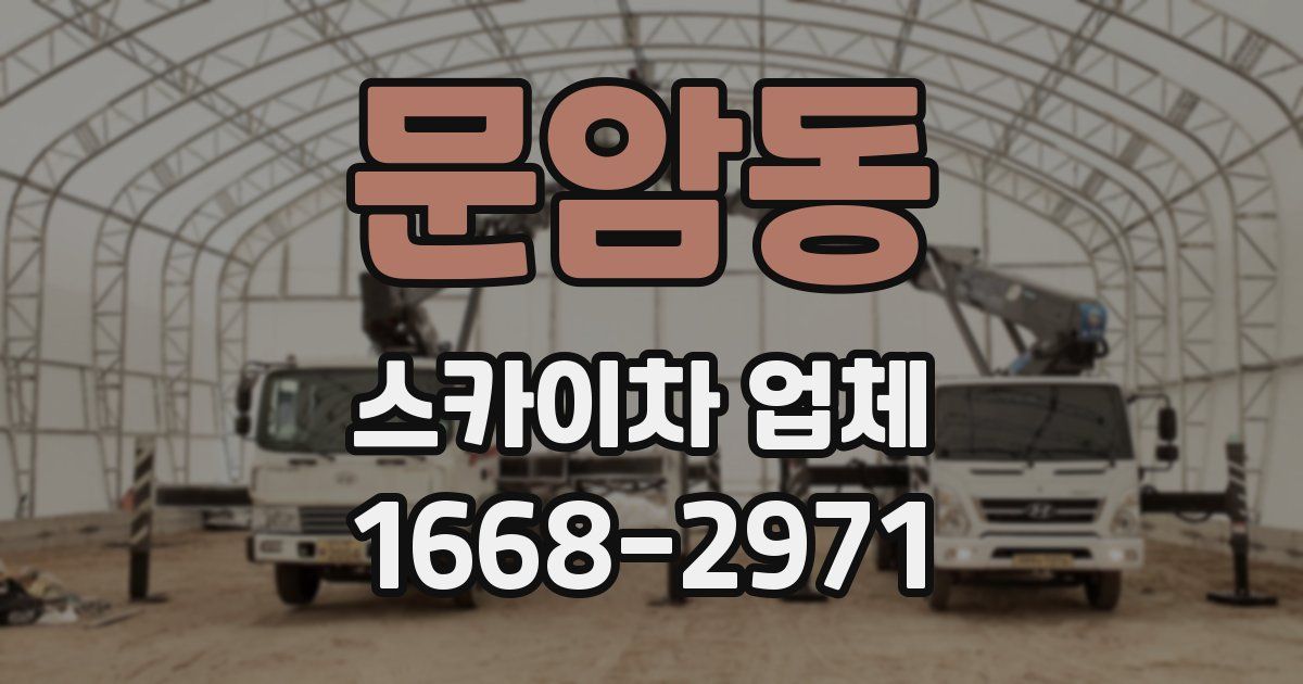 문암동 스카이차 업체