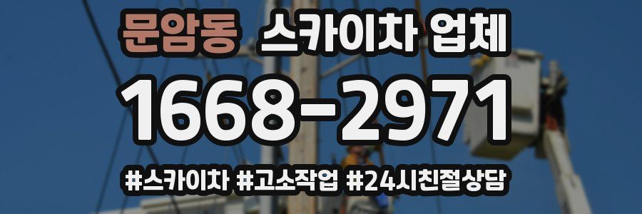 문암동 스카이차 업체