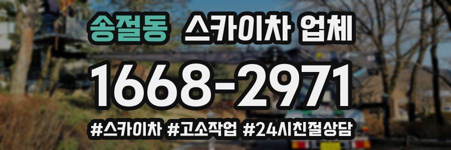 송절동 스카이차 업체