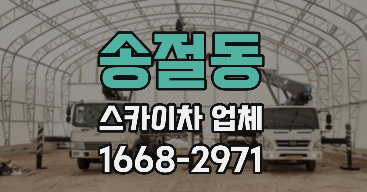 송절동 스카이차 업체