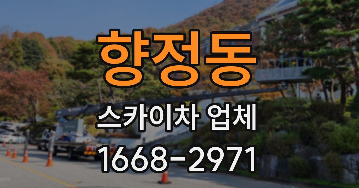 향정동 스카이차 업체