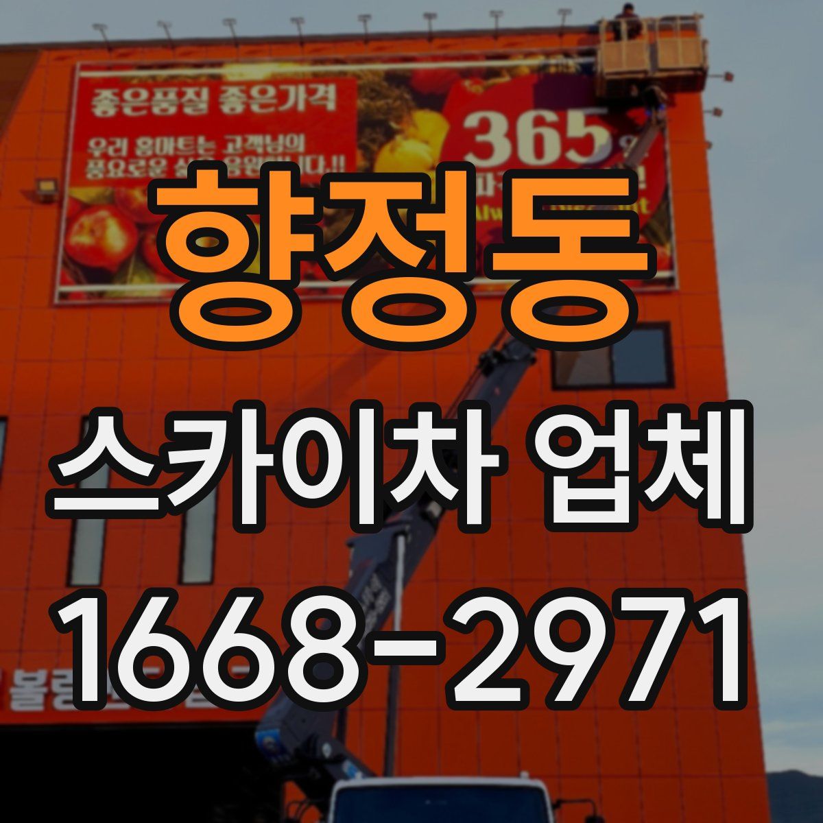향정동 스카이차 업체