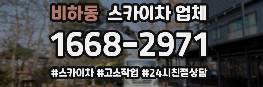 비하동 스카이차 업체